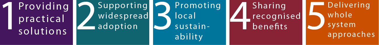 NHS South of England Dementia Challenge 2012