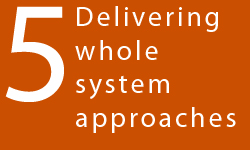 Delivering whole system approaches